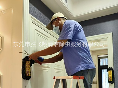 长安住宅白蚁防治工程