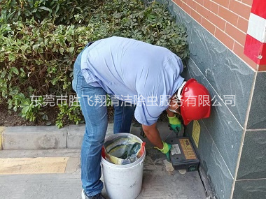 中堂安装灭鼠器工程