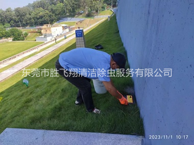 常平堤坝鼠害防治工程