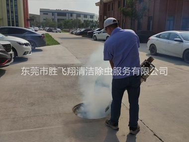 樟木头登革热防控消杀工程